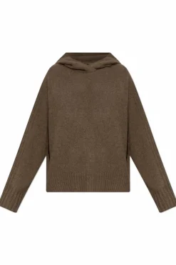 AllSaints BRĄZOWY Sweter `Ines` z kapturem