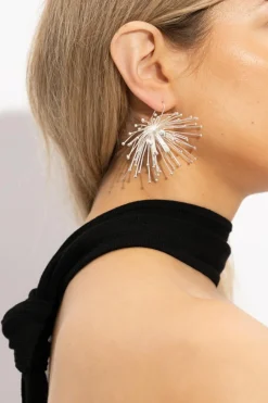 Cult Gaia SREBRNY Kolczyki `Damita`