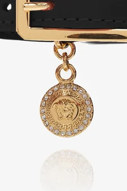 Versace Home CZARNY Obroża dla zwierząt
